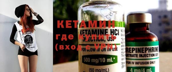 индика Долгопрудный