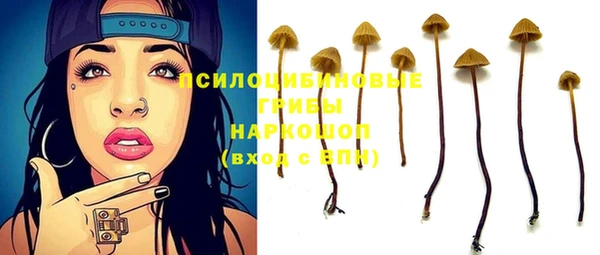 дмт Майский